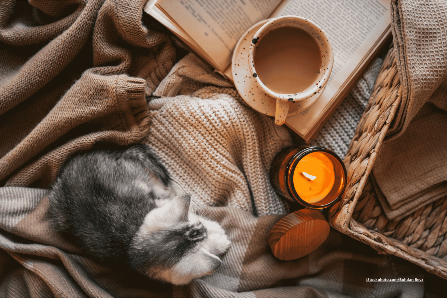 Das Foto zeigt einen gemütlichen Leseplatz mit Decken, eine Tasse, einer Kerze, einem Buch und einem Kätzchen.