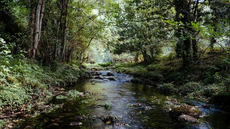 Sommerliche Ausflugsidee: Den Bach entdecken