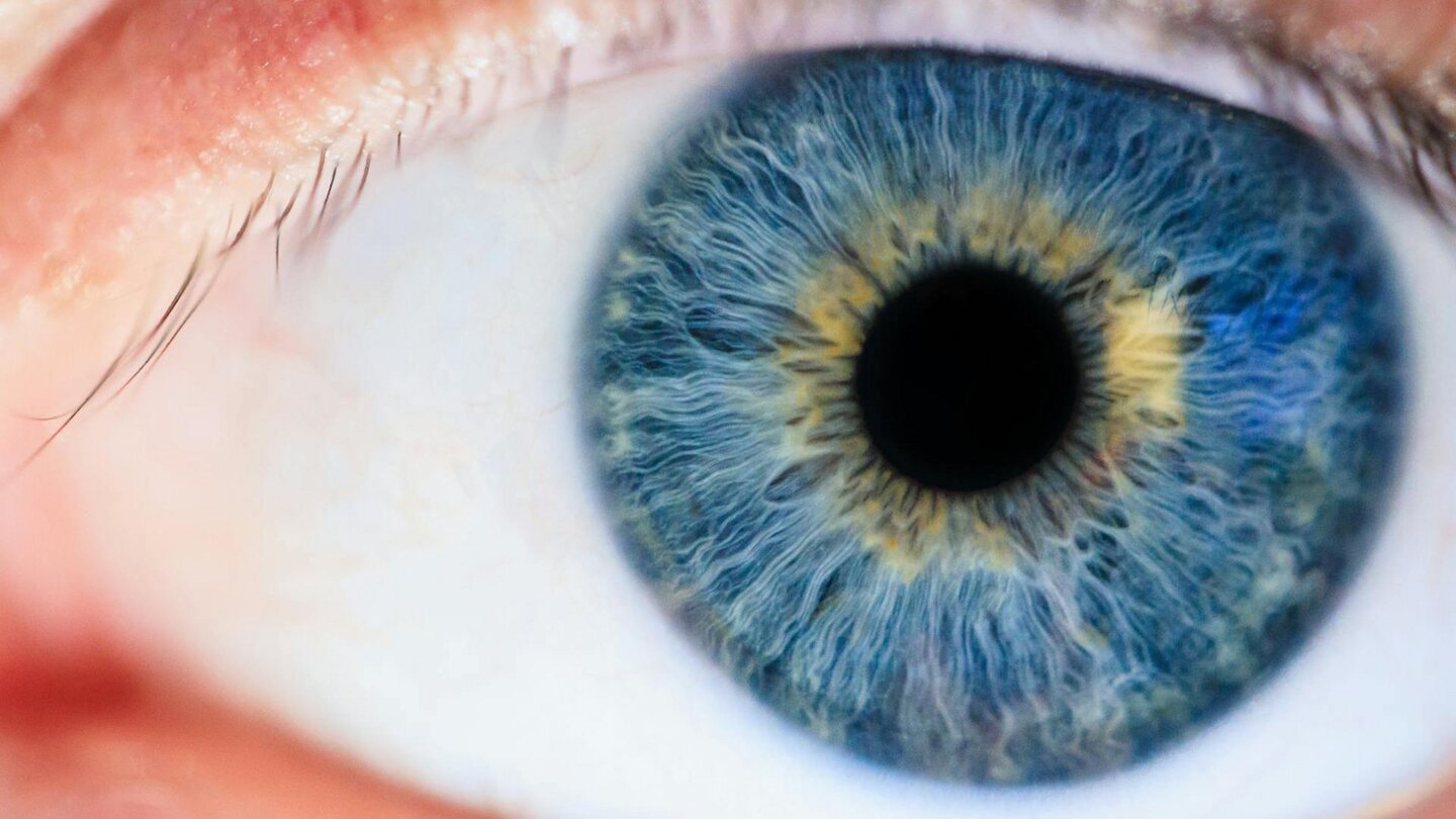Das Foto zeigt ein blaues Auge in Nahaufnahme.